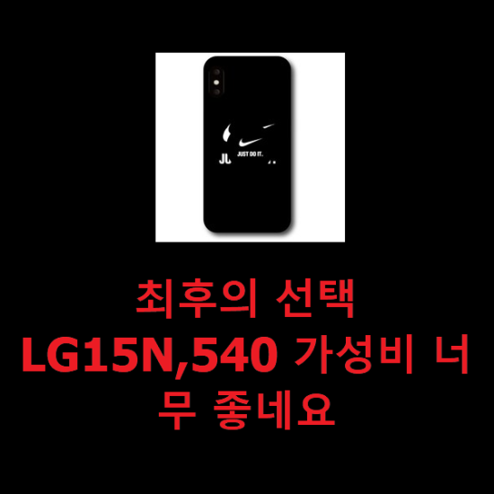 최후의 선택 LG15N,540 가성비 너무 좋네요