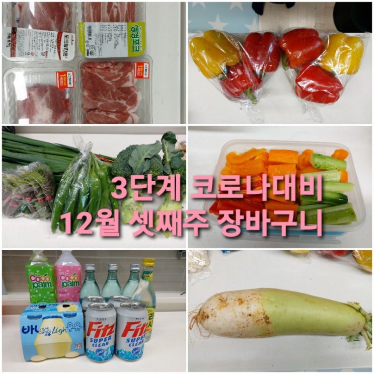  코로나3단계 대비 장바구니