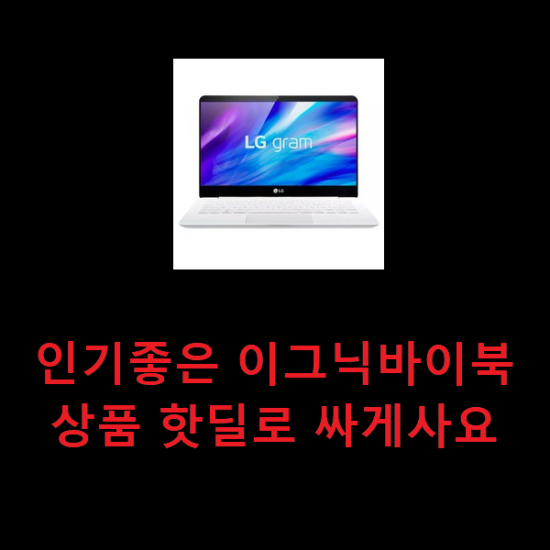인기좋은 이그닉바이북 상품 핫딜로 싸게사요 인기좋은 이그닉바이북 상품 핫딜로 싸게사요