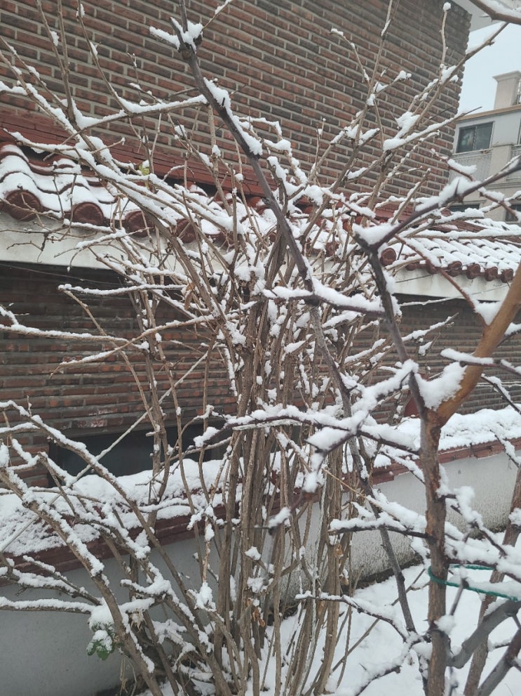  우리 가족 주말 일상. 친정왔어요.