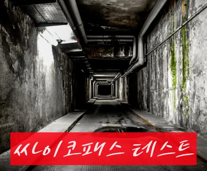  싸이코패스 테스트 해보기