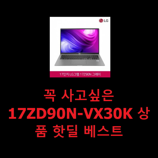 꼭 사고싶은 17ZD90N-VX30K 상품 핫딜 베스트