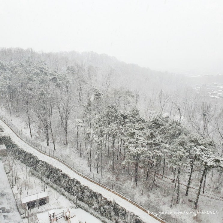  첫눈.일어나보니 하얀세상이네요.