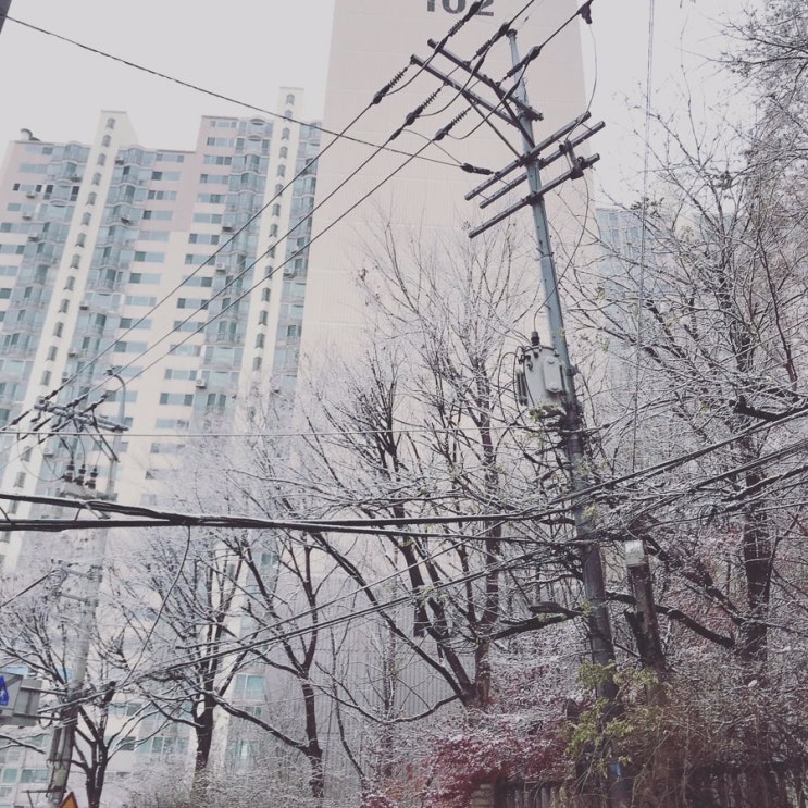  서울에 온 첫눈 러브가 기다리던 눈