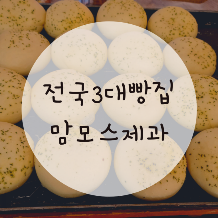 안동카페추천 맘모스베이커리 전국3대빵집 여행코스