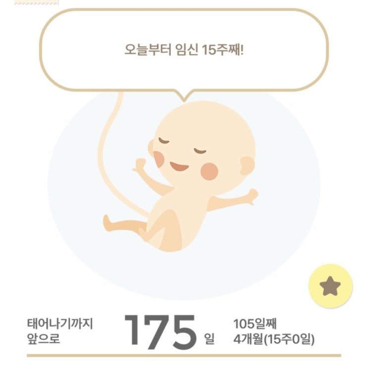  [임신일기] 임신 15주차, 큰변화가 느껴지지않아요.