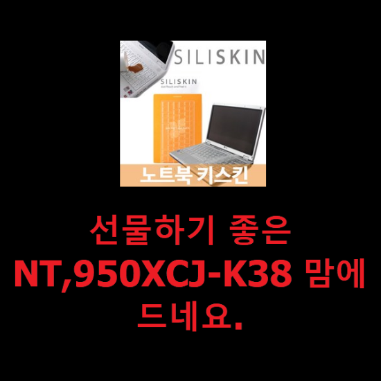 선물하기 좋은 NT,950XCJ-K38 맘에드네요.