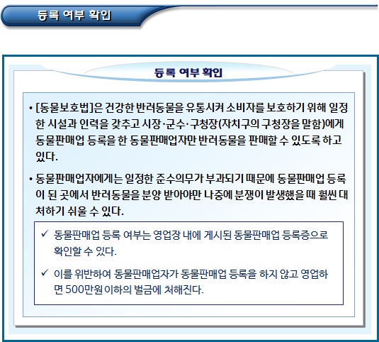 동물판매업소에서 반려동물 분양받기