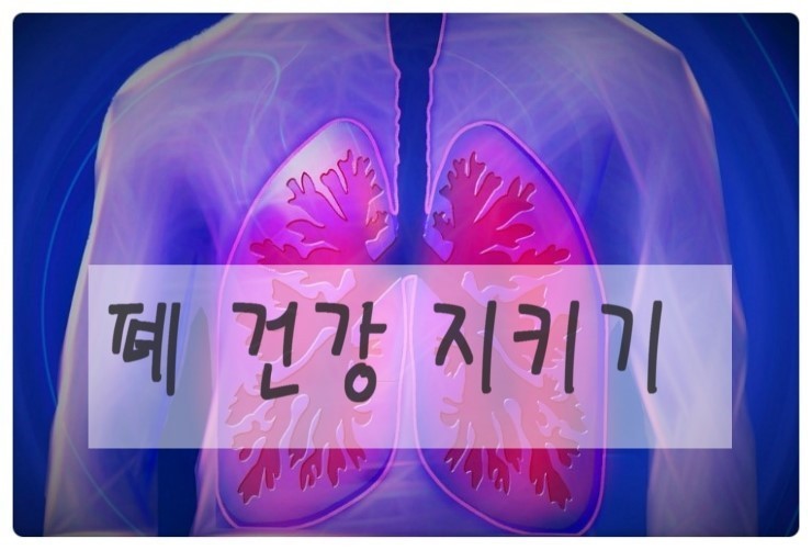 폐의 자가 재생능력을 높여주는 6가지 방법