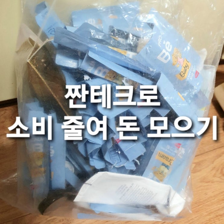  미니멀리즘 실천하기/ 돈 아끼시/ 짠테크/ 과소비 참기