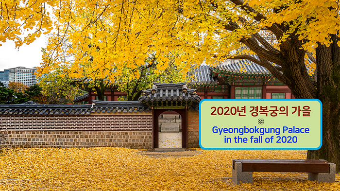  2020년 경복궁의 가을 / 경복궁 / 궁궐이야기