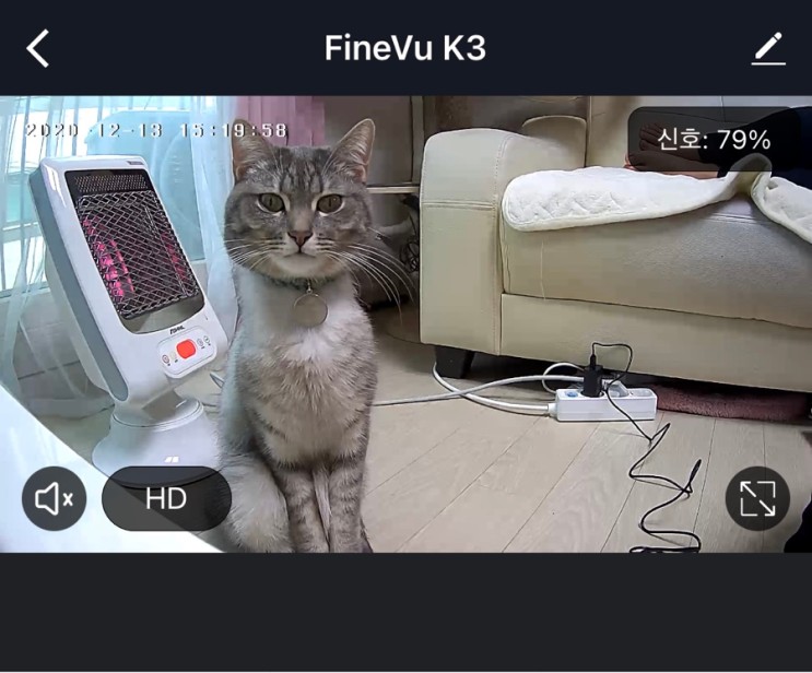 [ 홈cctv 파인뷰 K3 ] 펫캠으로 우리 고양이 안전을 지켜요