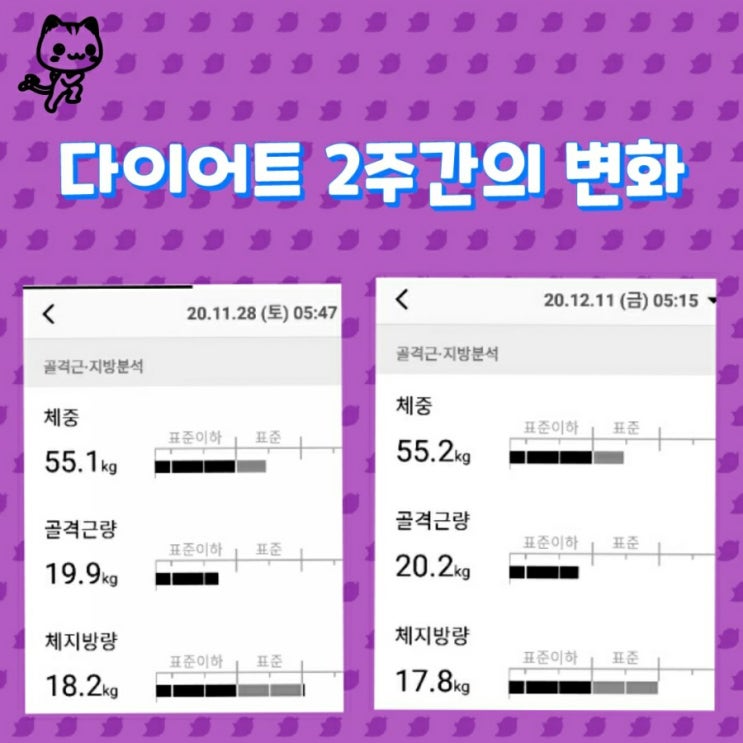  다이어트 2주간의 변화