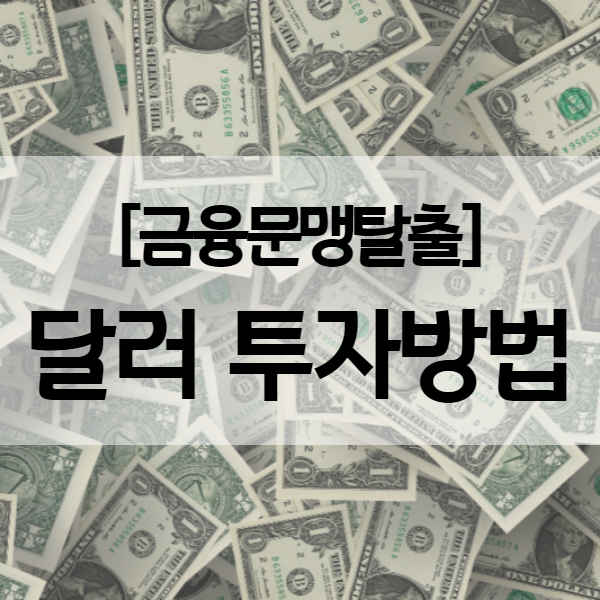  달러 투자방법과 달러 사는법 - 신한은행 달러예금 vs 달러 ETF (KODEX 미국달러선물)