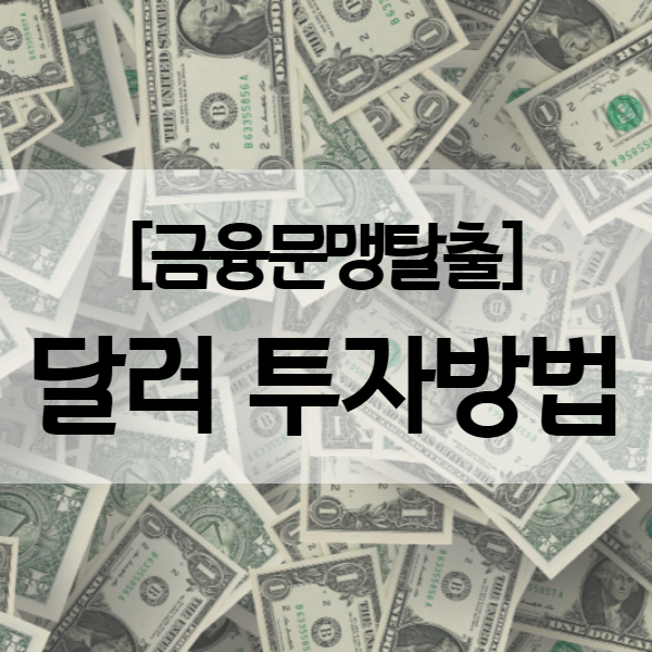 달러 투자방법과 달러 사는법 - 신한은행 달러예금 vs 달러 ETF (KODEX 미국달러선물)