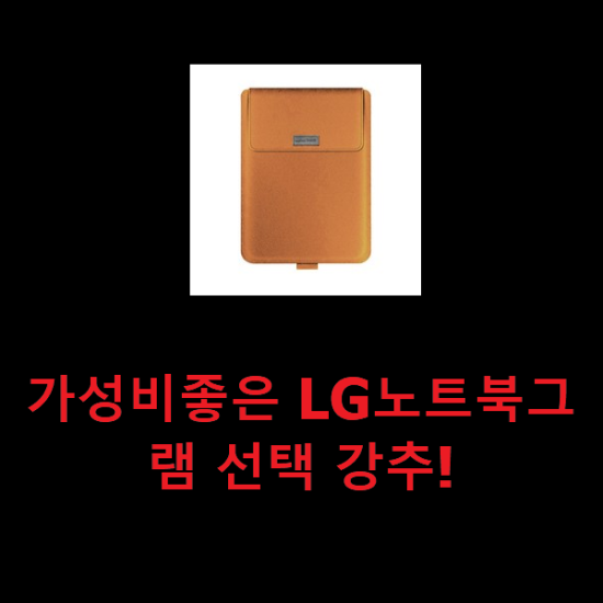 가성비좋은 LG노트북그램 선택 강추!