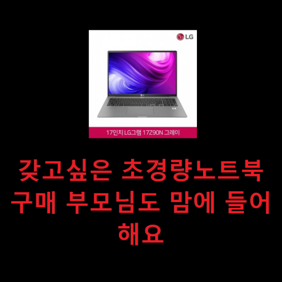 갖고싶은 초경량노트북 구매 부모님도 맘에 들어해요 갖고싶은 초경량노트북 구매 부모님도 맘에 들어해요