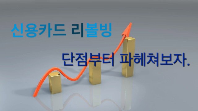  신용카드리볼빙 하루 빨리 악순환에서 벗어 나오자.