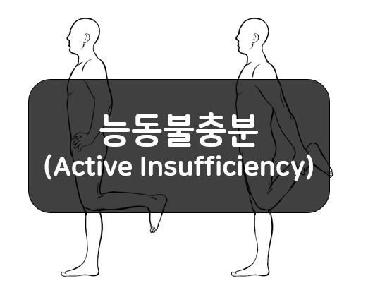 근육의 능동불충분(Active Insufficiency)!!
