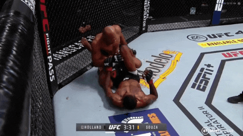 UFC 256: 피게이레두 vs 모레노 리뷰(GIF) - 2차전 예약