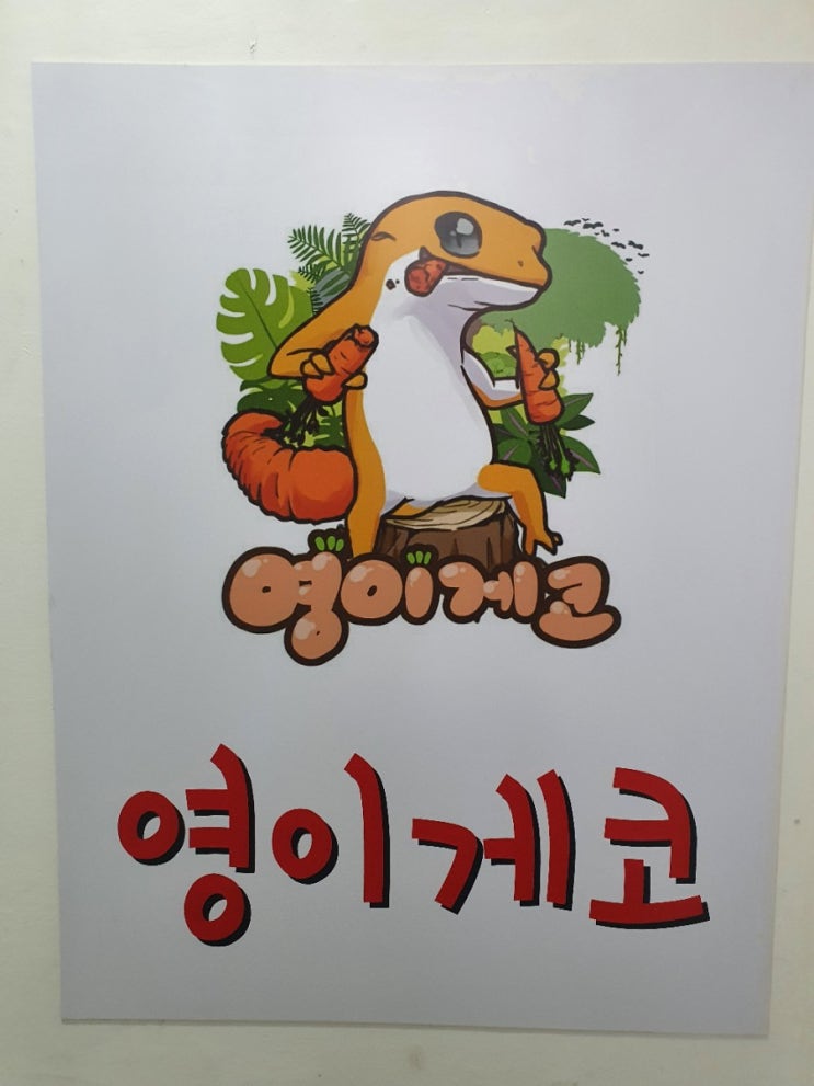 부산 영이게코 방문후기(펫테일입양)