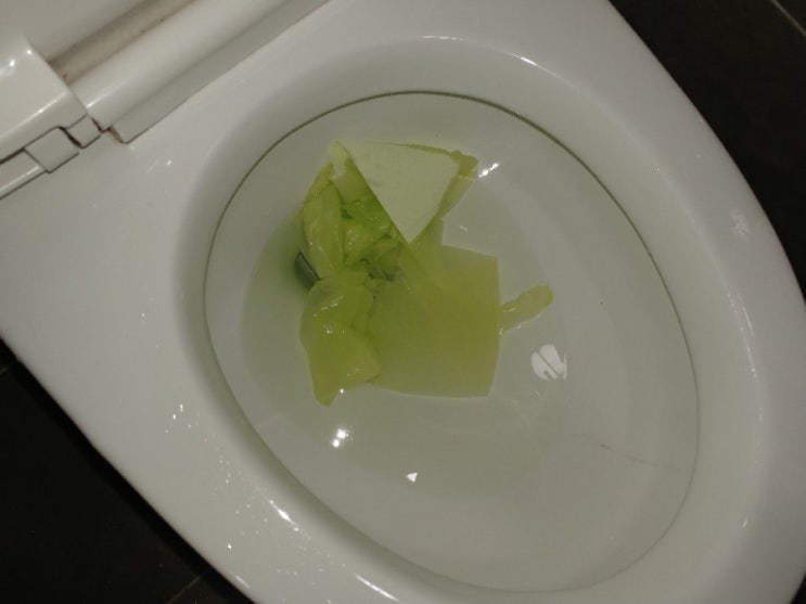  인천 논현동 변기 뚫는 업체 찾으세요? 이곳은 막힘의 원인이 무엇이든지 잘 뚫음!
