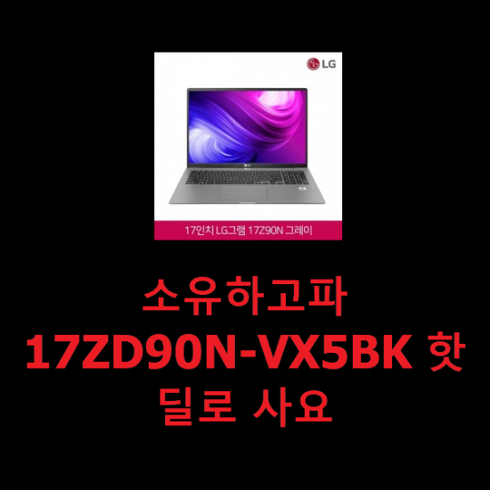 소유하고파 17ZD90N-VX5BK 핫딜로 사요