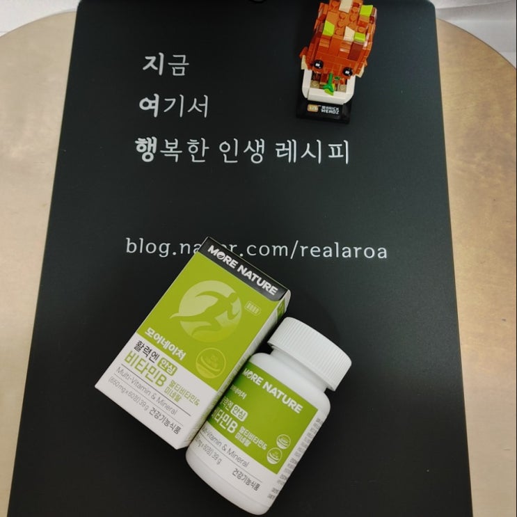  피로회복제 비타민B군음식 대신 선택한 모어네이처 활력엔 안심 비타민B