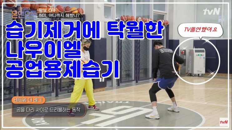 나우이엘 공업용제습기 NED-280 NED-280P 실내농구교실 설치사례 나우이엘 공업용제습기 NED-280 NED-280P 실내농구교실 설치사례