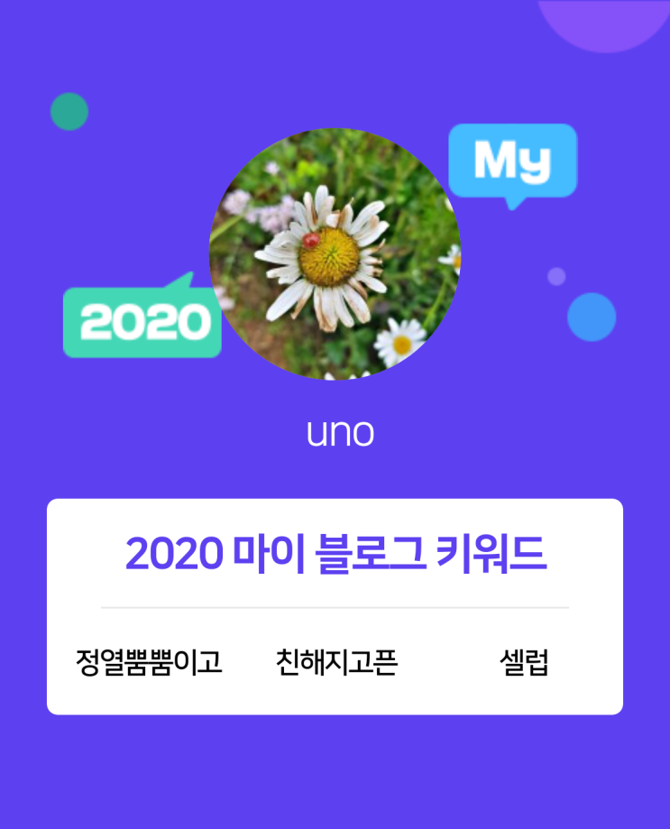  [2020 마이블로그 리포트] 한 눈에 보는 올해 내 블로그 데이터!