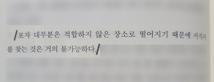 2020 국제 도서 주간 릴레이(from 재미난희망 님)