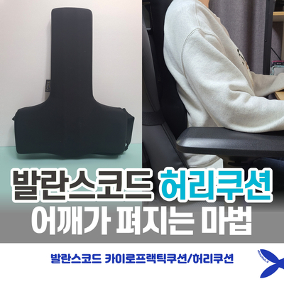  거북목이 선택한 발란스코드 허리쿠션 150일 사용기