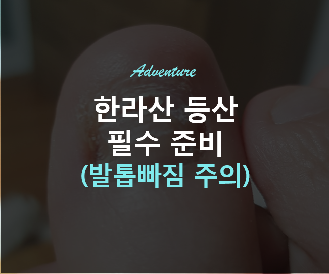  한라산이 나에게 준 새 발톱, 쑥뜸효과