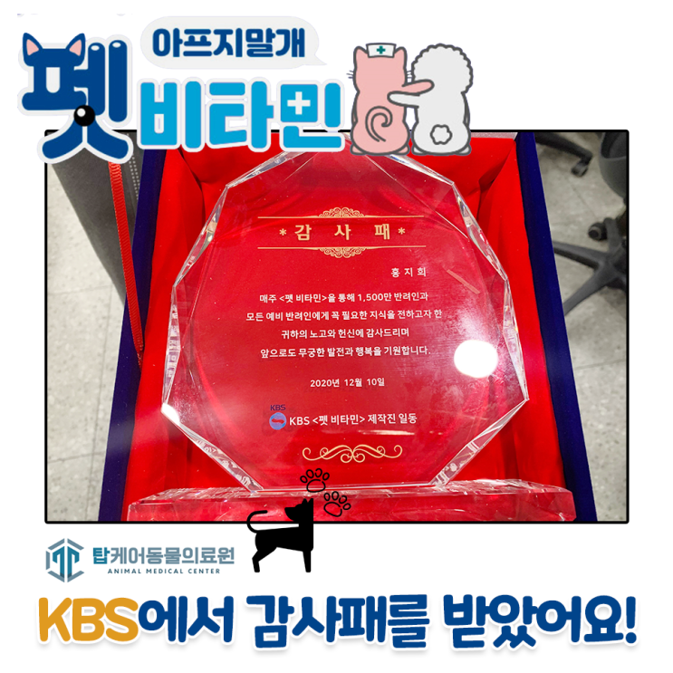  펫비타민 동물병원 탑케어동물의료원 : KBS에서 감사패를 받았습니다.