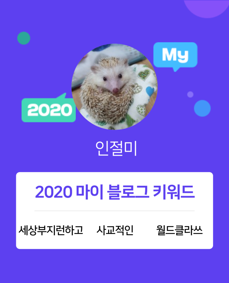  [2020 마이블로그 리포트] 한 눈에 보는 올해 내 블로그 데이터!