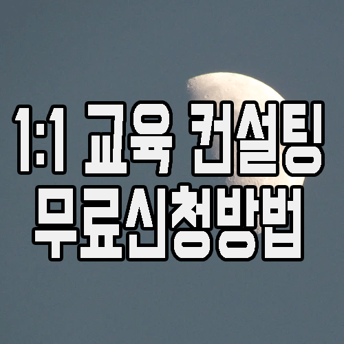  동탄코딩학원 : 파이썬/C언어/자바 IT 비대면 교육 추천!