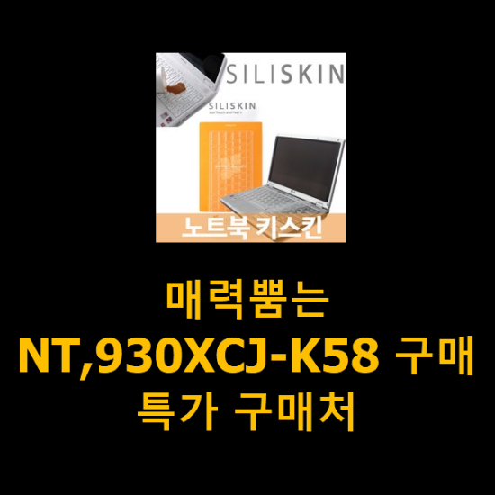 매력뿜는 NT,930XCJ-K58 구매 특가 구매처