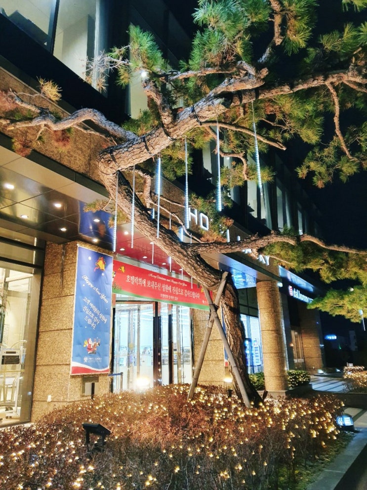  광양 호텔락희 LUCKY 호텔스테이 리얼후기