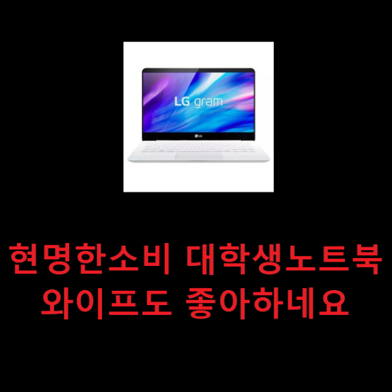 현명한소비 대학생노트북 와이프도 좋아하네요 현명한소비 대학생노트북 와이프도 좋아하네요