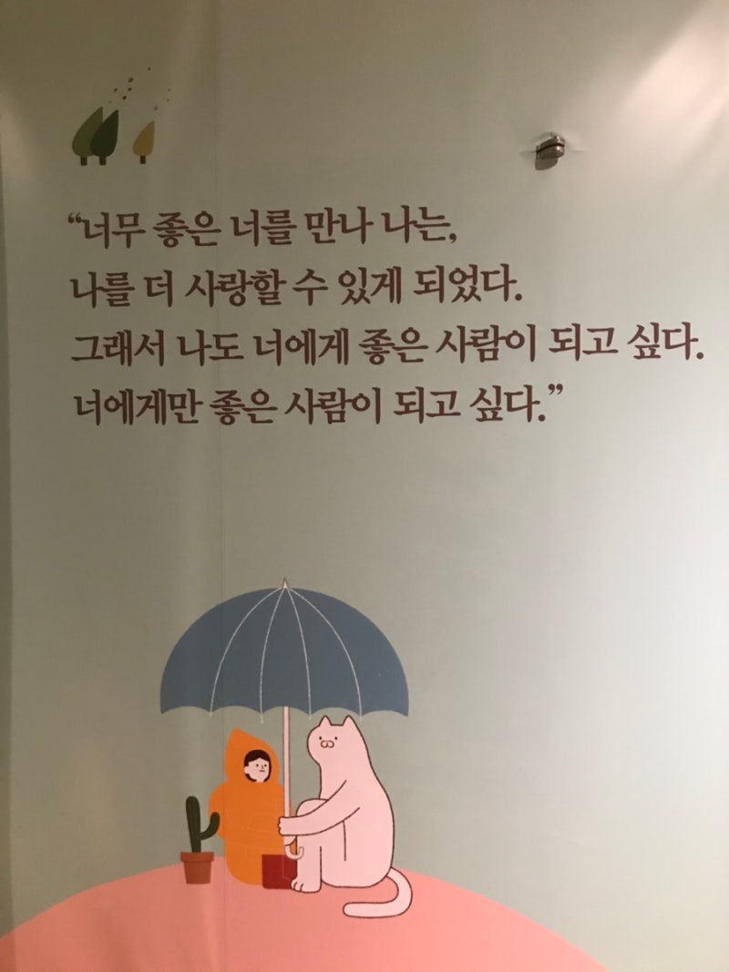 박철홍 (@liveromance_) • Instagram photos and videos, image size:800x1067