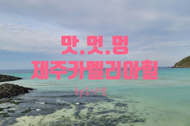  국내 겨울 여행지 추천 - 제주 까멜리아 힐