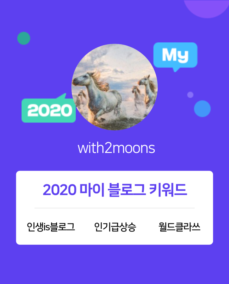  [2020 마이블로그 리포트] 한 눈에 보는 올해 내 블로그 데이터!