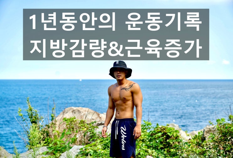  1년동안의 운동기록, 몸에 변화와 비교[지방감소 및 근육증가]