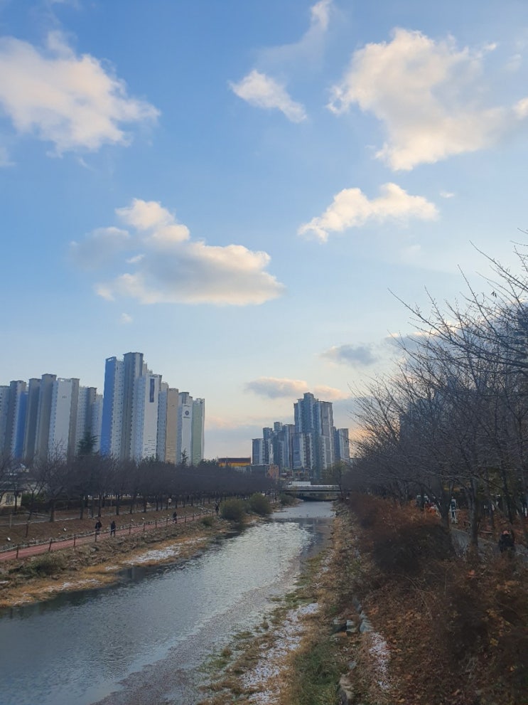 겨울에 찾은 인천 서운체육공원 산책길