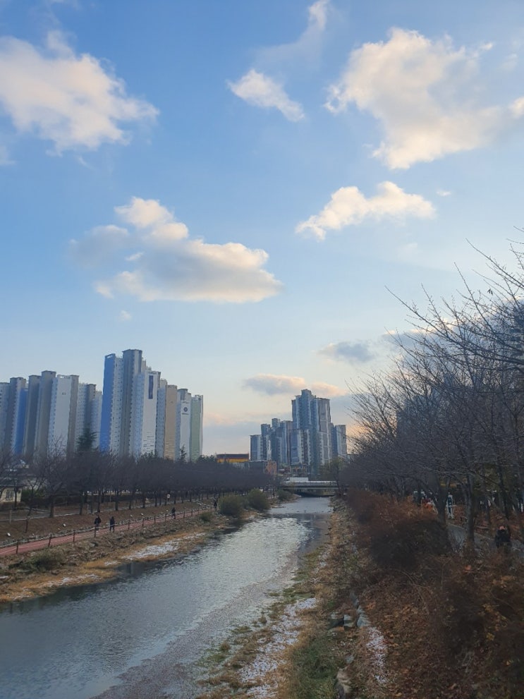  겨울에 찾은 인천 서운체육공원 산책길