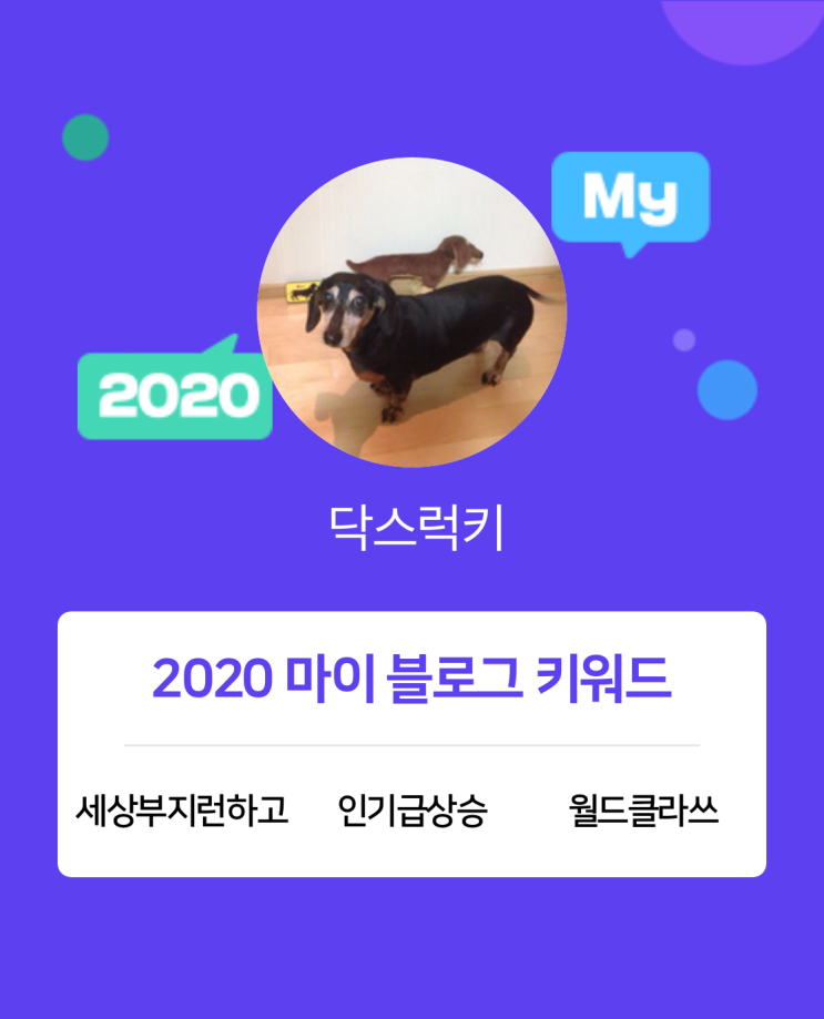  [2020 마이블로그 리포트] 한 눈에 보는 올해 내 블로그 데이터!
