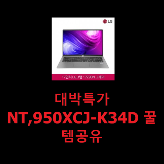 대박특가 NT,950XCJ-K34D 꿀템공유 대박특가 NT,950XCJ-K34D 꿀템공유