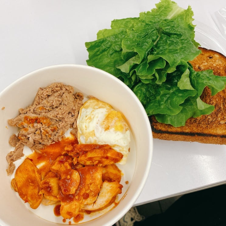 다이어트 식단 | 초보 다이어터, 식단도 맛있게 먹자!!! 2020.10.20 ~ 10.30