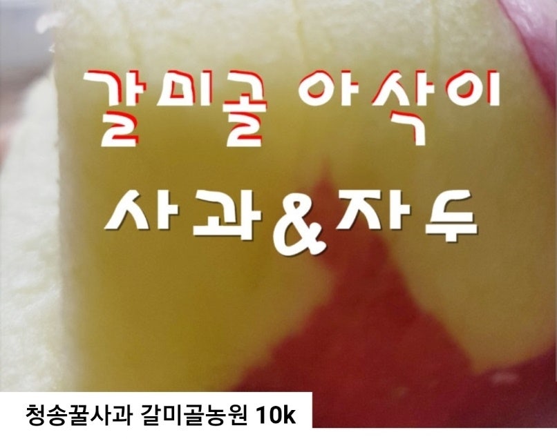 갈미골 사진 1
