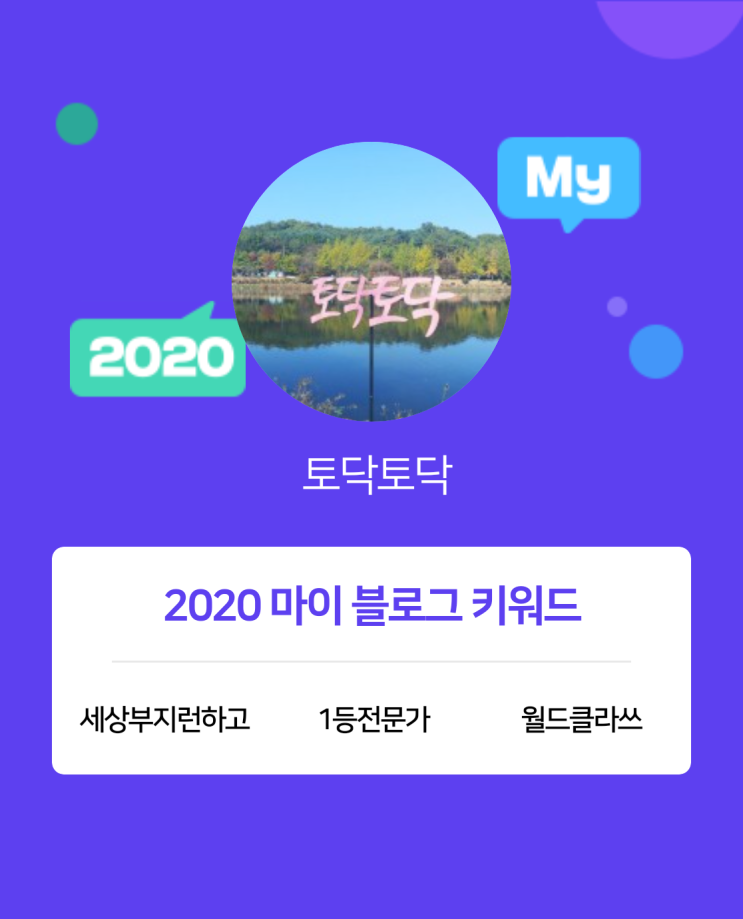 [2020 마이블로그 리포트] 한 눈에 보는 올해 내 블로그 데이터!